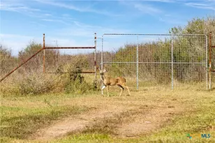 000 Fm 239, Tivoli, TX 77990 - Photo 7