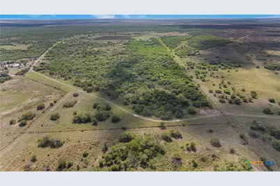 000 Fm 239, Tivoli, TX 77990 - Photo 3