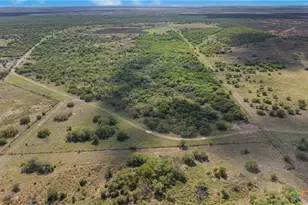 000 Fm 239, Tivoli, TX 77990 - Photo 3