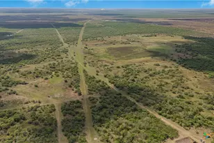 000 Fm 239, Tivoli, TX 77990 - Photo 11