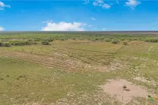 000 Fm 239, Tivoli, TX 77990 - Photo 19