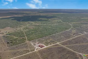 000 Fm 239, Tivoli, TX 77990 - Photo 13