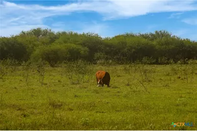 000 Fm 239, Tivoli, TX 77990 - Photo 27