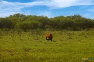 000 Fm 239, Tivoli, TX 77990 - Photo 27