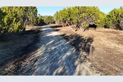 Tbd Avila Ln, Briggs, TX 78608 - Photo 19