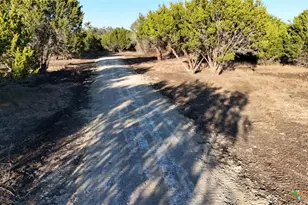 Tbd Avila Ln, Briggs, TX 78608 - Photo 19