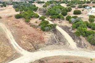 Tbd Avila Ln, Briggs, TX 78608 - Photo 5