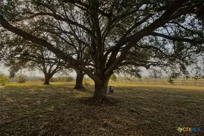 1891 Dworaczyk Road, Yorktown, TX 78164 - Photo 11