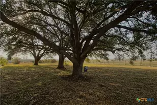 1891 Dworaczyk Rd, Yorktown, TX 78164 - Photo 11