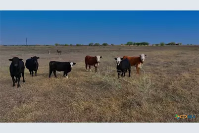 1891 Dworaczyk Road, Yorktown, TX 78164 - Photo 35