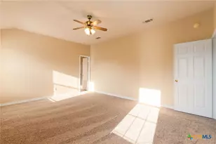 3163 Lomas Rodando Calzada, Kempner, TX 76539 - Photo 13