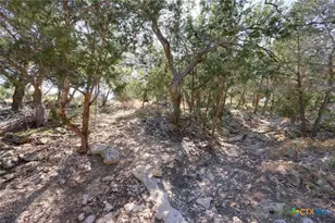 2062 Italia, New Braunfels, TX 78132 - Photo 35