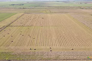 5629 US-59, Edna, TX 77957 - Photo 23