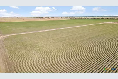5629 Us-59, Edna, TX 77957 - Photo 11