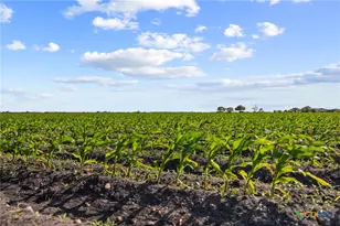 5629 US-59, Edna, TX 77957 - Photo 9