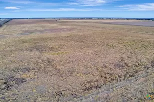 5629 US-59, Edna, TX 77957 - Photo 9