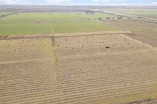 5629 US-59, Edna, TX 77957 - Photo 21