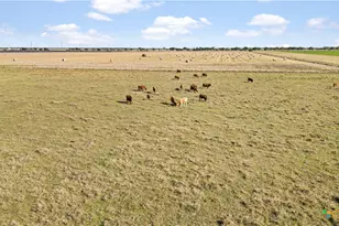 5629 US-59, Edna, TX 77957 - Photo 15