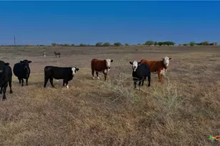 1891 Dworaczyk Rd, Yorktown, TX 78164 - Photo 35