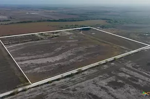 1891 Dworaczyk Rd, Yorktown, TX 78164 - Photo 9