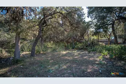 1042 Janet Drive, Canyon Lake, TX 78133 - Photo 3