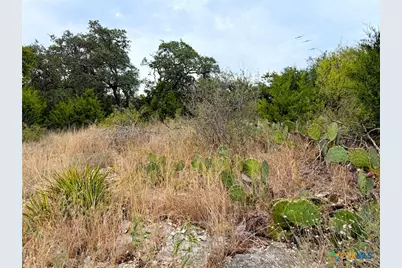 1232 Kings Cove Dr, Canyon Lake, TX 78133 - Photo 5