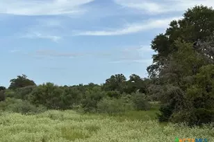 Lot 2 Willis Ln, Smithville, TX 78957 - Photo 5