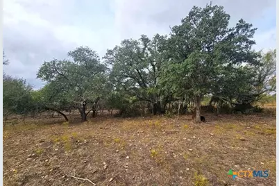 415 Black Watch Lane, Lockhart, TX 78644 - Photo 1