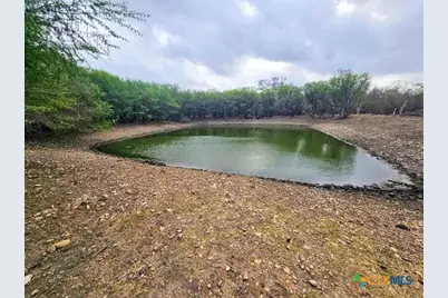 415 Black Watch Lane, Lockhart, TX 78644 - Photo 3