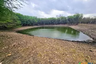 415 Black Watch Ln, Lockhart, TX 78644 - Photo 3