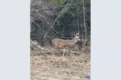 [Address not provided], New Braunfels, TX 78132 - Photo 39