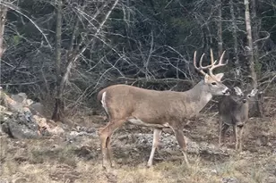 [Address not provided], New Braunfels, TX 78132 - Photo 39