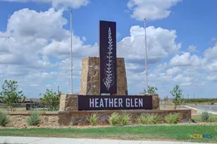 443 Agave Flats Dr, New Braunfels, TX 78130 - Photo 27