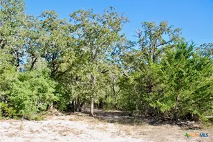 1727 Davis Rd, Flatonia, TX 78949 - Photo 29