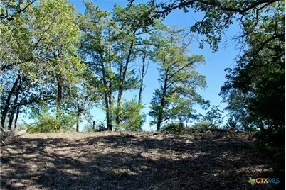 1727 Davis Road, Flatonia, TX 78949 - Photo 35