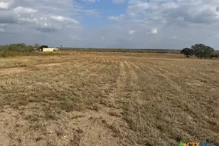 3883 Tschoepe Rd, Seguin, TX 78155 - Photo 5