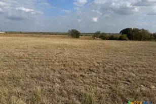 3883 Tschoepe Rd, Seguin, TX 78155 - Photo 9