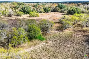 195 Cheyenne Ln, Kingsbury, TX 78638 - Photo 39