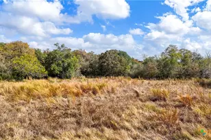 195 Cheyenne Ln, Kingsbury, TX 78638 - Photo 37