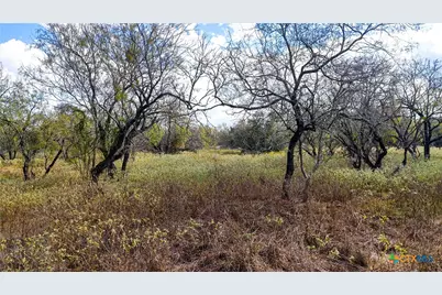 195 Cheyenne Lane, Kingsbury, TX 78638 - Photo 35