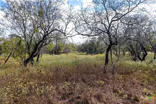 195 Cheyenne Ln, Kingsbury, TX 78638 - Photo 35