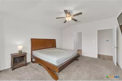 206 Bankside Drive, Hutto, TX 78634 - Photo 11