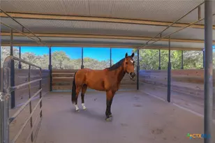 1080 Forest Trail, New Braunfels, TX 78132 - Photo 19