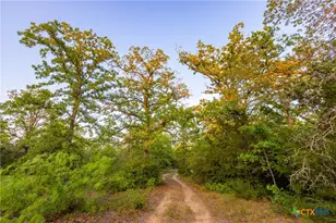 Tbd S Hwy 77, Rockdale, TX 76567 - Photo 19