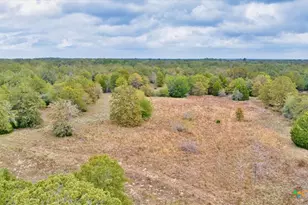 Tbd S Hwy 77, Rockdale, TX 76567 - Photo 7