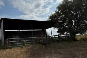 4689 County Rd 302, Runge, TX 78151 - Photo 29