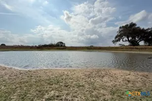 4689 County Rd 302, Runge, TX 78151 - Photo 17