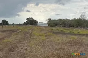 4689 County Rd 302, Runge, TX 78151 - Photo 11