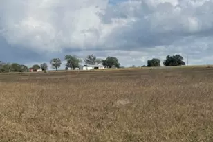 4689 County Rd 302, Runge, TX 78151 - Photo 31