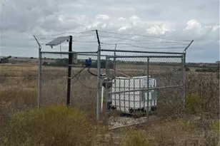 4689 County Rd 302, Runge, TX 78151 - Photo 39